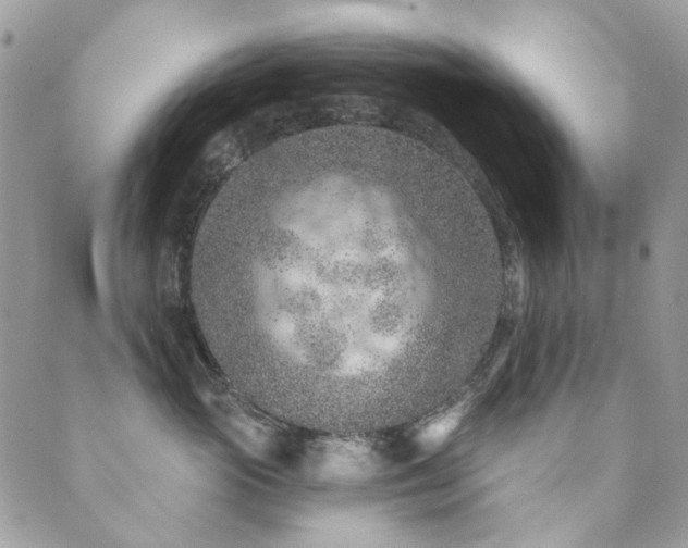 X0000089680765200706211225