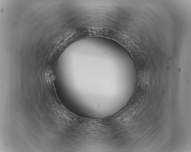 X0000089680770200706211224