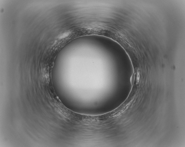 X0000089680771200706211224