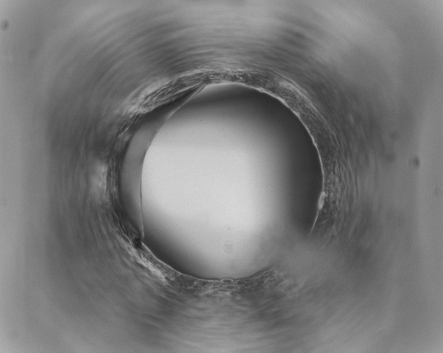 X0000089680773200706211224