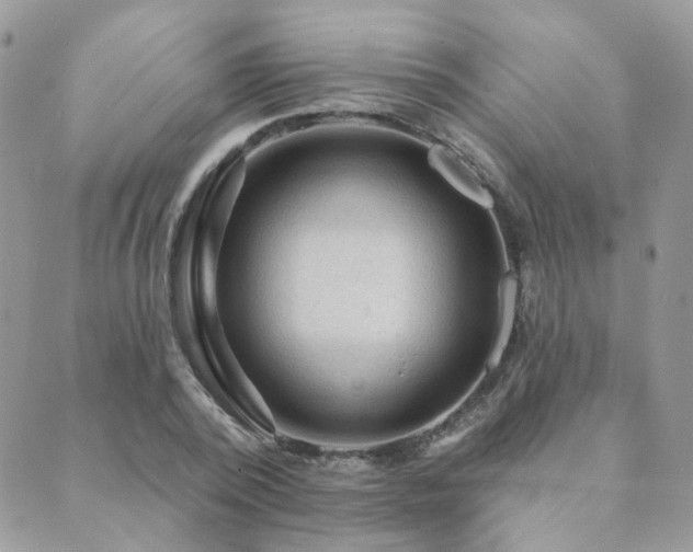 X0000089680784200706211224