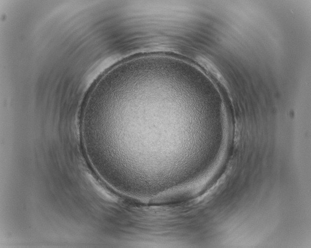 X0000089680789200706211224