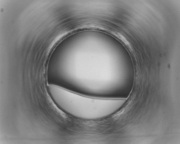 X0000089680799200706211223