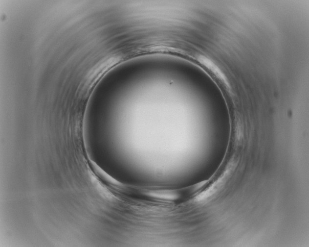 X0000089680801200706211223