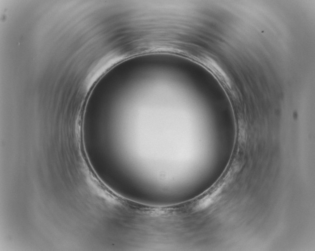 X0000089680814200706211223
