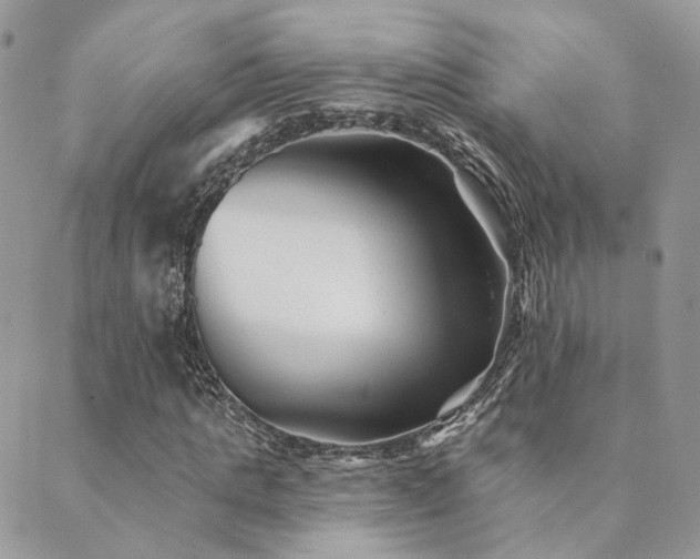 X0000089680821200706211222