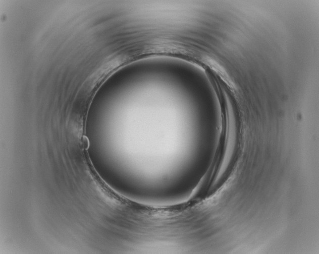 X0000089680841200706211223