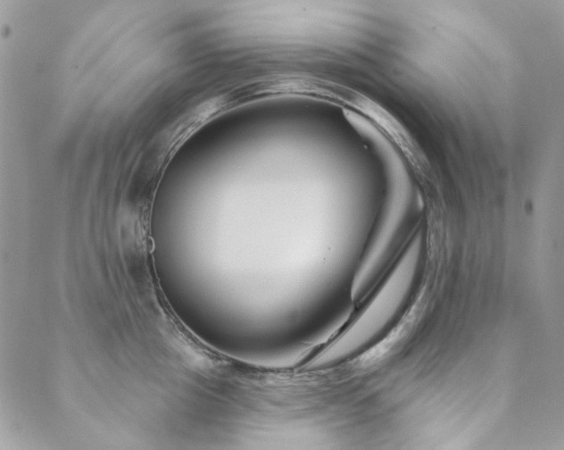 X0000089680857200706211223