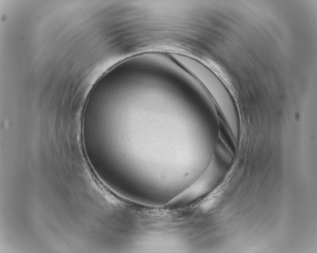 X0000089680862200706211223