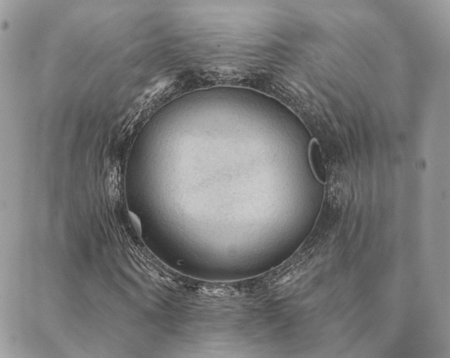 X0000089680866200706211222