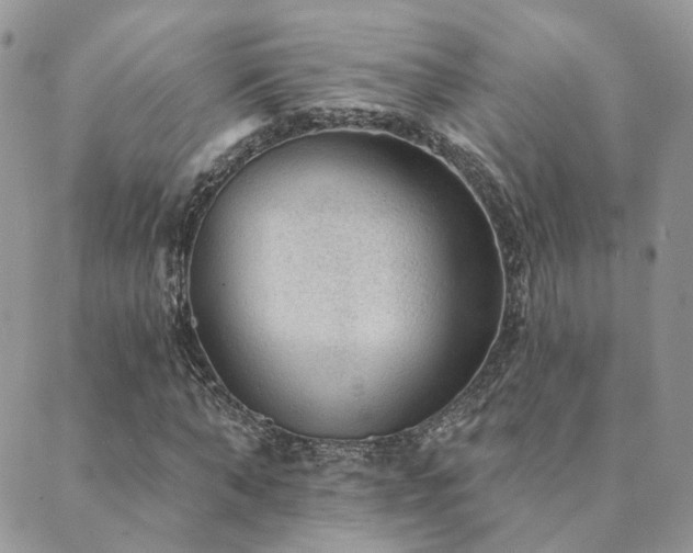 X0000089680870200706211222