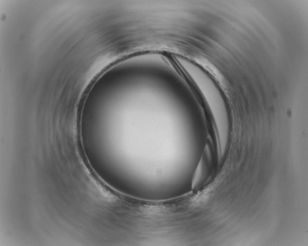 X0000089680894200706211222