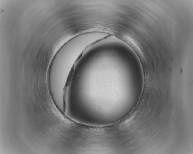 X0000089680900200706211222
