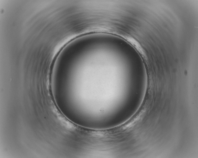 X0000089680904200706211222