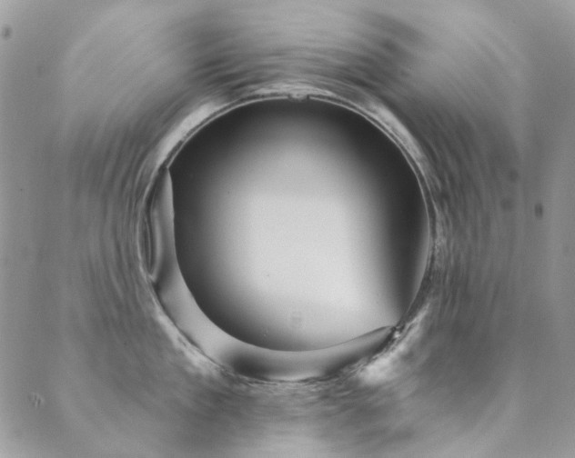 X0000089680909200706211222