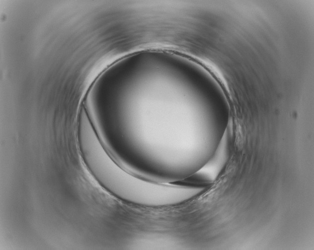 X0000089680911200706211222