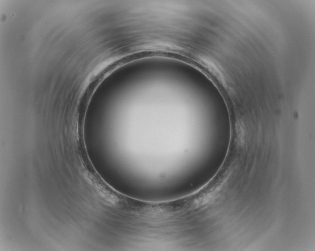 X0000089680931200706211221