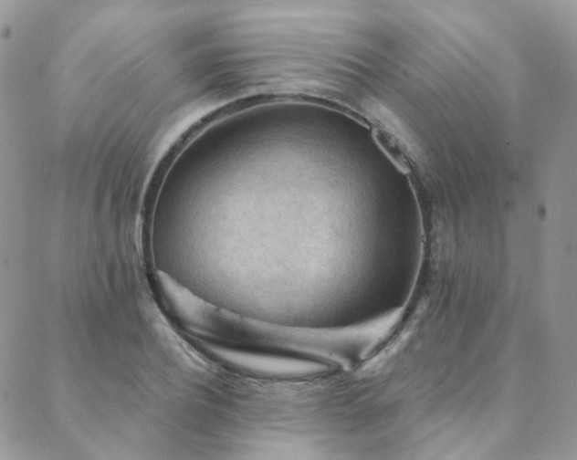 X0000089680932200706211221