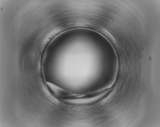 X0000089680938200706211221