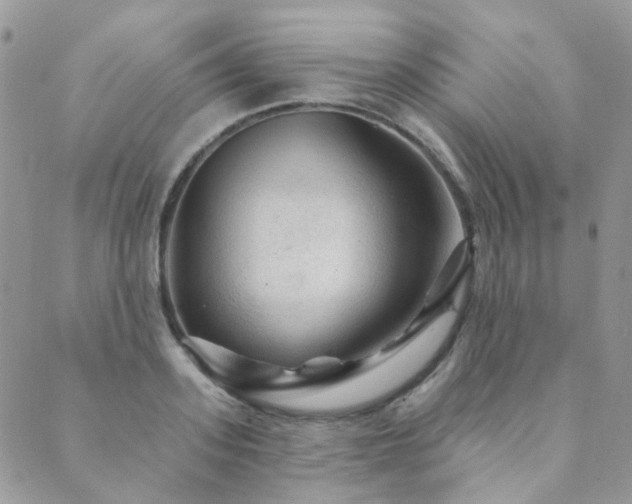 X0000089680939200706211221