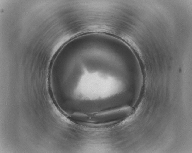 X0000089680941200706211221