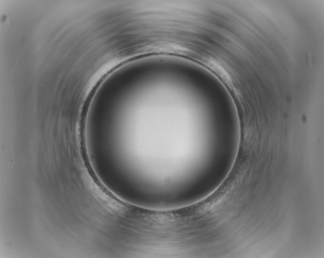 X0000089680947200706211221