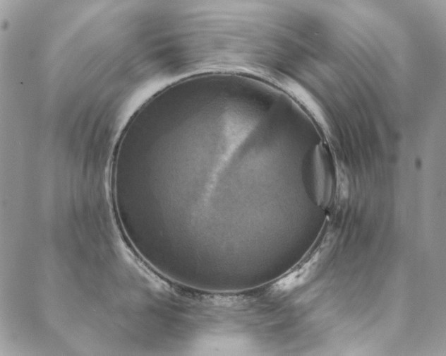 X0000089680958200706211222