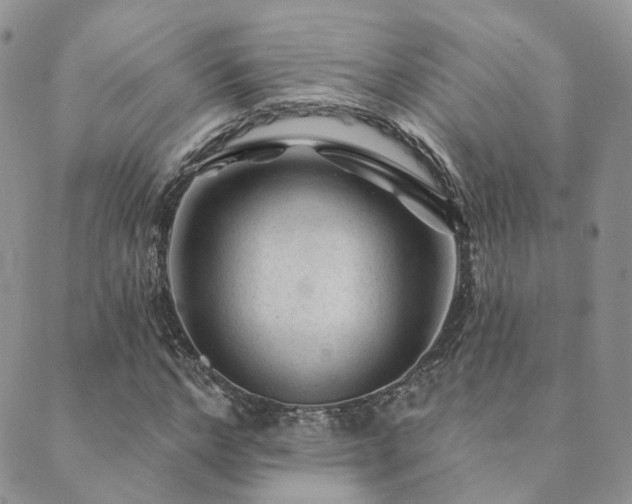 X0000089680968200706211221