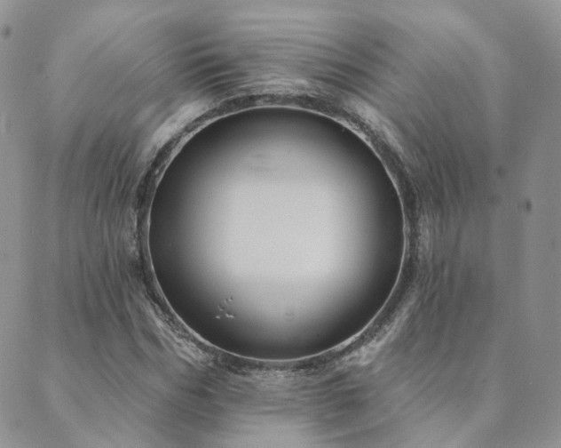 X0000089680970200706211221