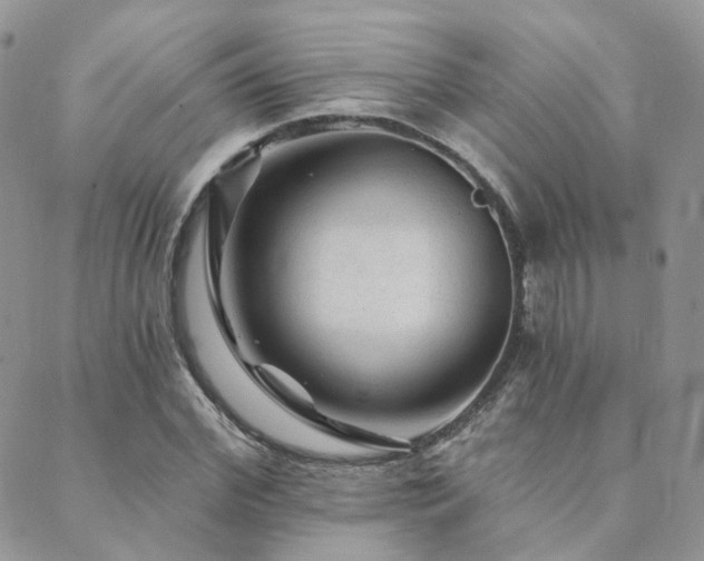 X0000089680972200706211221