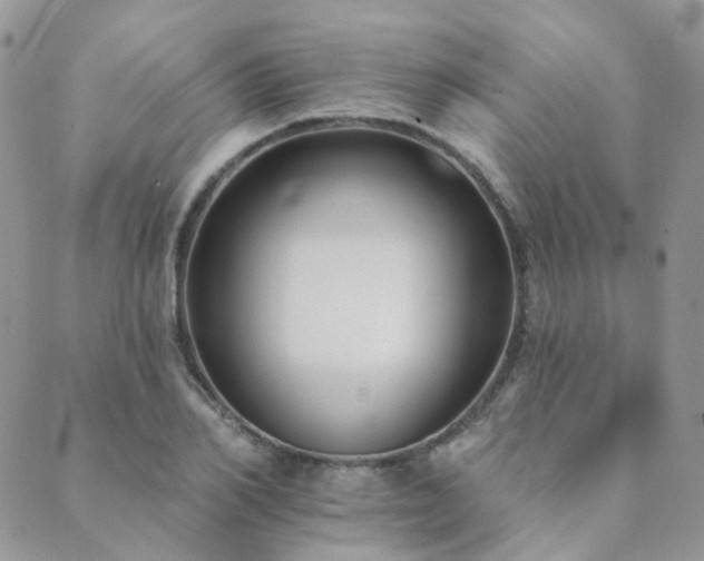 X0000089680982200706211220