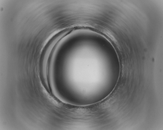 X0000089680984200706211220