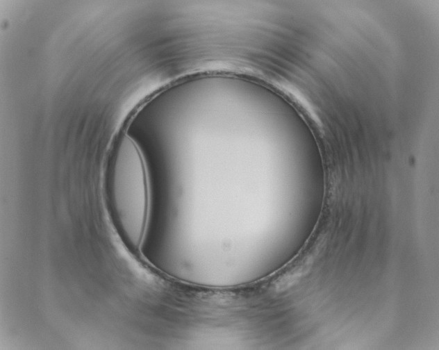 X0000089680991200706211220