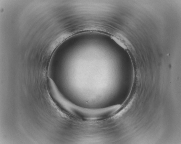X0000089680993200706211220