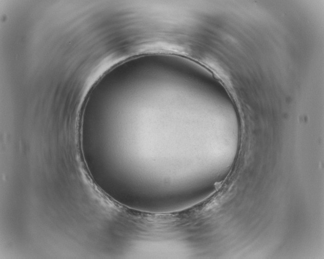 X0000089681008200706211220