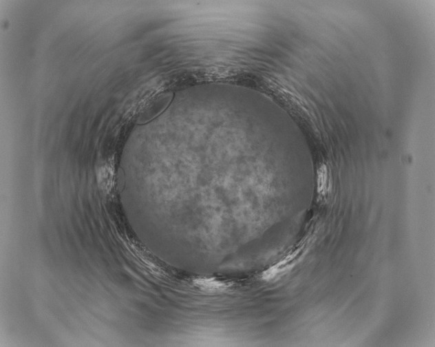 X0000089681011200706211219