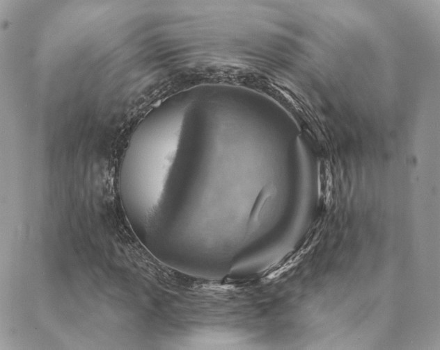 X0000089681013200706211219