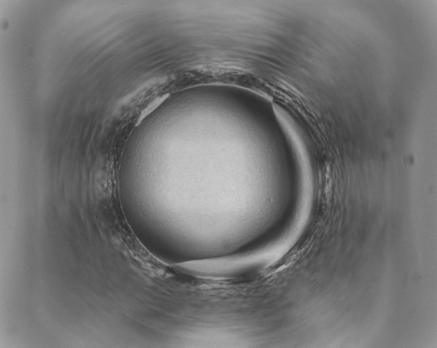 X0000089681014200706211219