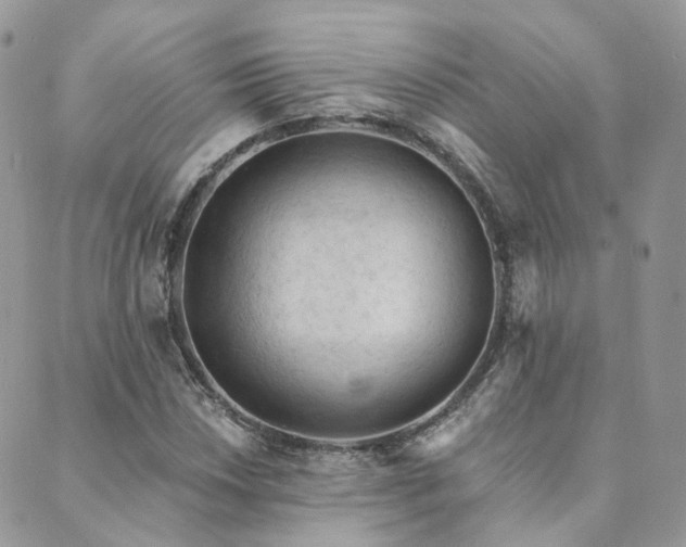 X0000089681018200706211219