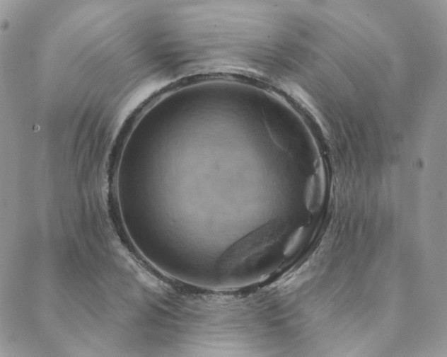 X0000089681024200706211219