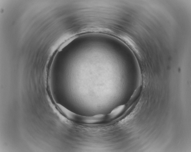 X0000089681046200706211220