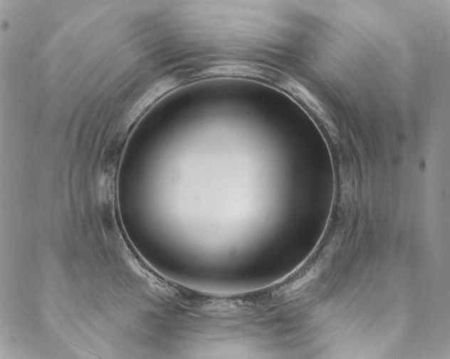 X0000089681049200706211220