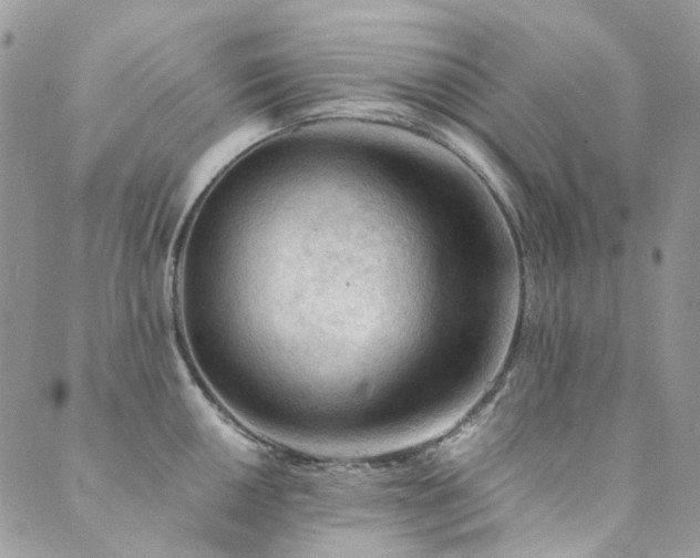 X0000089681050200706211220