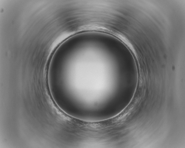 X0000089681053200706211220