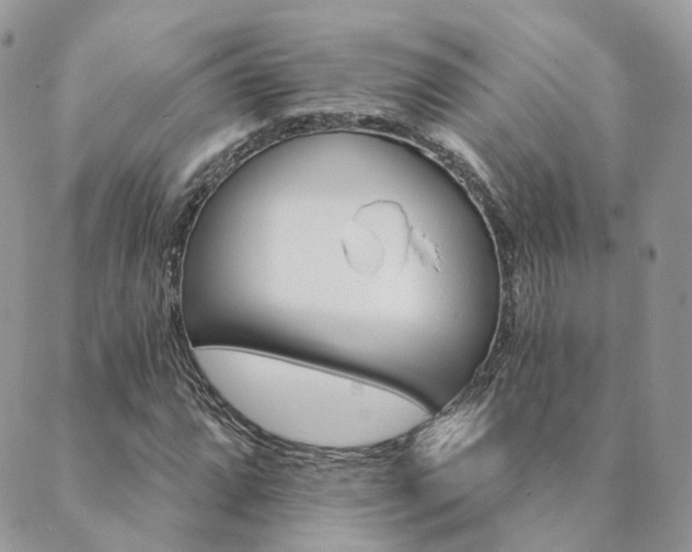 X0000089681064200706211219