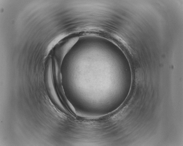 X0000089681066200706211219