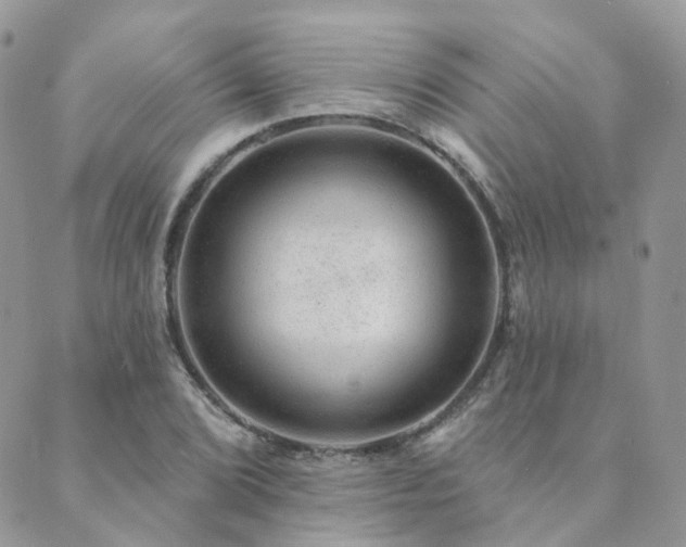 X0000089681072200706211219