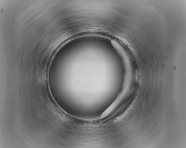 X0000089681073200706211219