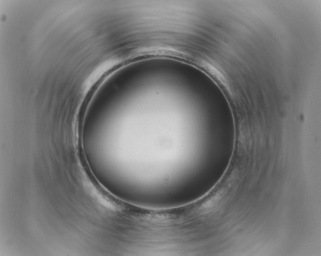 X0000089681082200706211219