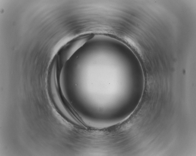 X0000089681085200706211218